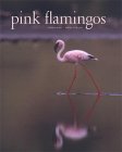 Pink Flamingos