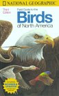 Field Guide to the Birds of North America