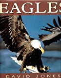 Eagles