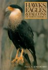 Hawks, Eagles, and Falcons of North America