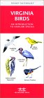 Virginia Birds: An Introduction to Familiar Species