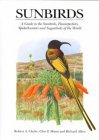 Sunbirds: A Guide to the Sunbirds, Spiderhunters, Sugarbirds and Flowerpeckers of the World