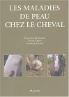 Les maladies de peau chez le cheval