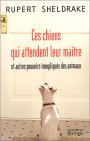 Ces chiens qui attendent leur maître et autres pouvoirs inexpliqués des animaux