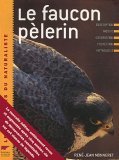 Le faucon pèlerin