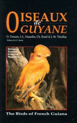 Oiseaux de Guyane