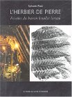 L'herbier de pierre : Fossiles du bassin houiller lorrain