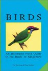 Birds: An Illustrated Field Guide to the Birds of Singapore