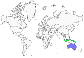 Distribution 