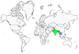 Distribution