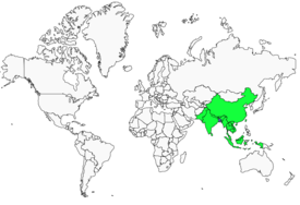 Distribution 