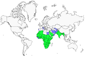 Distribution 