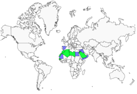 Distribution 