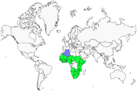 Distribution