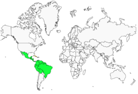 Distribution 