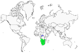 Distribution 