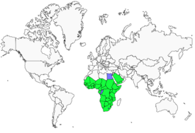 Distribution