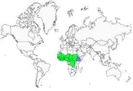 Distribution 