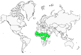 Distribution 