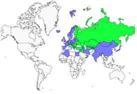 Distribution 