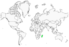 Distribution 