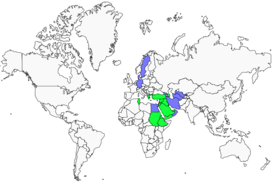Distribution 