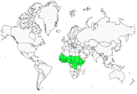 Distribution 