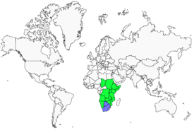 Distribution 