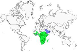 Distribution 