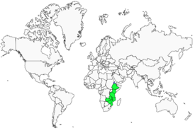 Distribution 