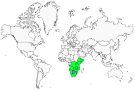 Distribution 