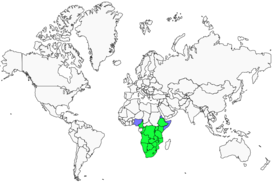 Distribution 