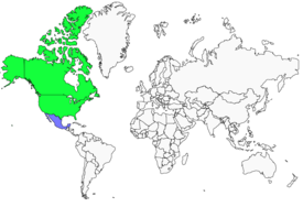 Distribution