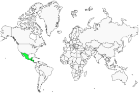 Distribution