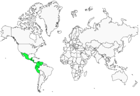 Distribution 