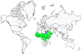 Distribution 