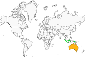 Distribution 