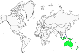 Distribution 