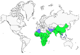Distribution 