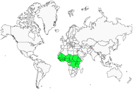 Distribution 