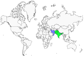 Distribution 
