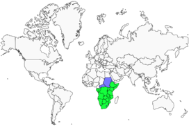 Distribution 