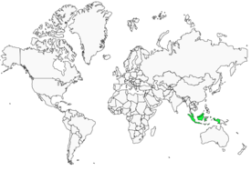 Distribution