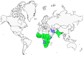 Distribution