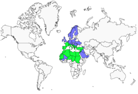 Distribution 
