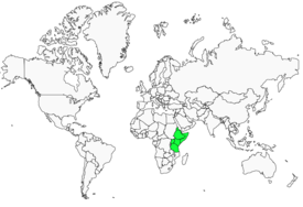 Distribution 