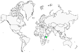 Distribution 