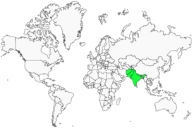 Distribution 