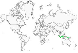 Distribution