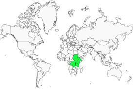 Distribution 